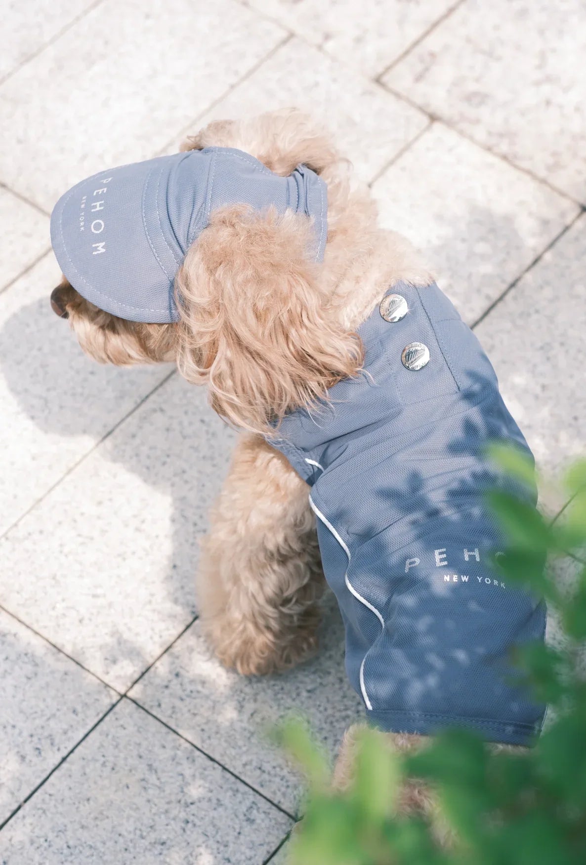 TENNIS HAT | Green 3 - MiniPaw Luxe