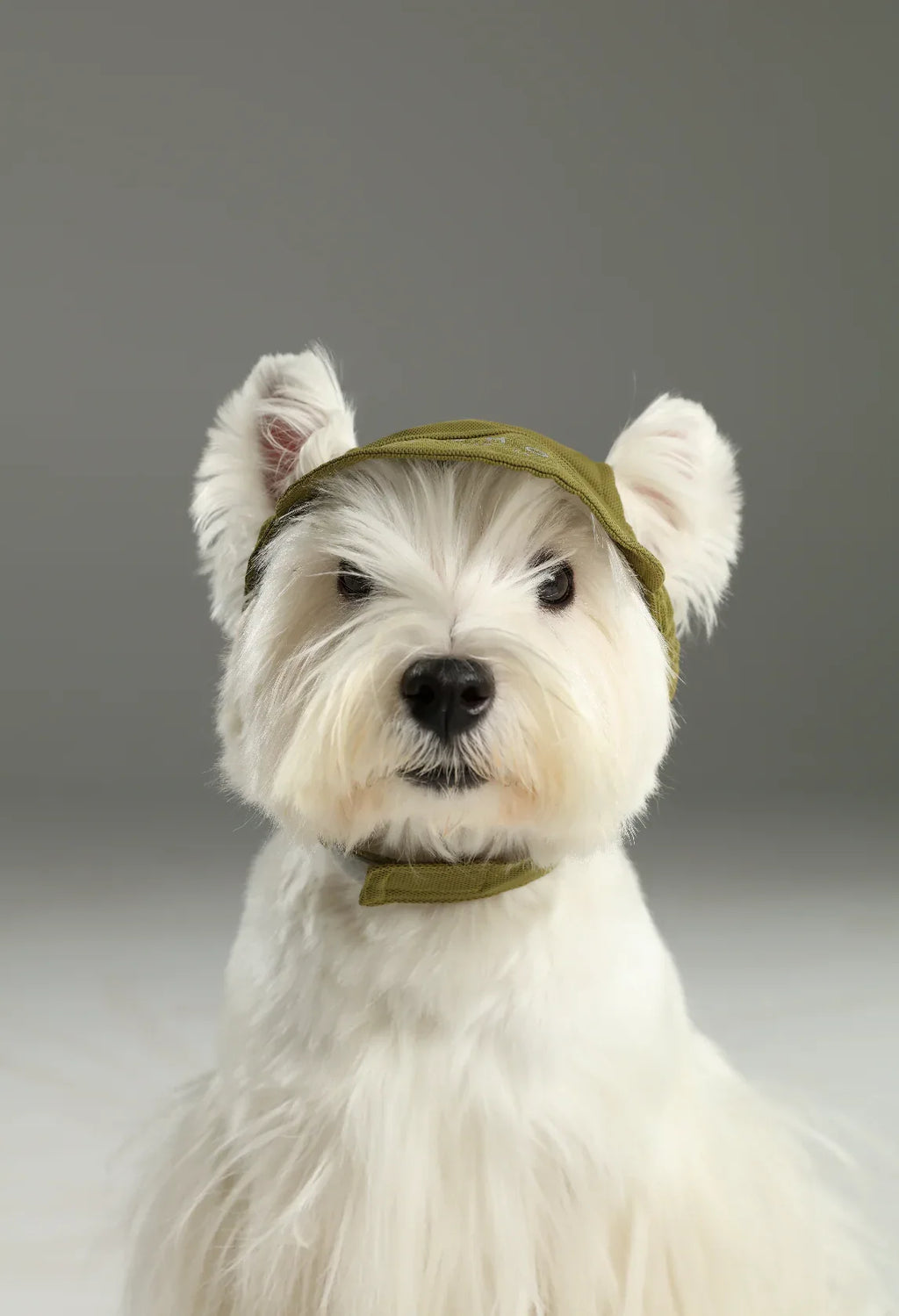 TENNIS HAT | Green 4 - MiniPaw Luxe