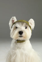 TENNIS HAT | Green 4 - MiniPaw Luxe