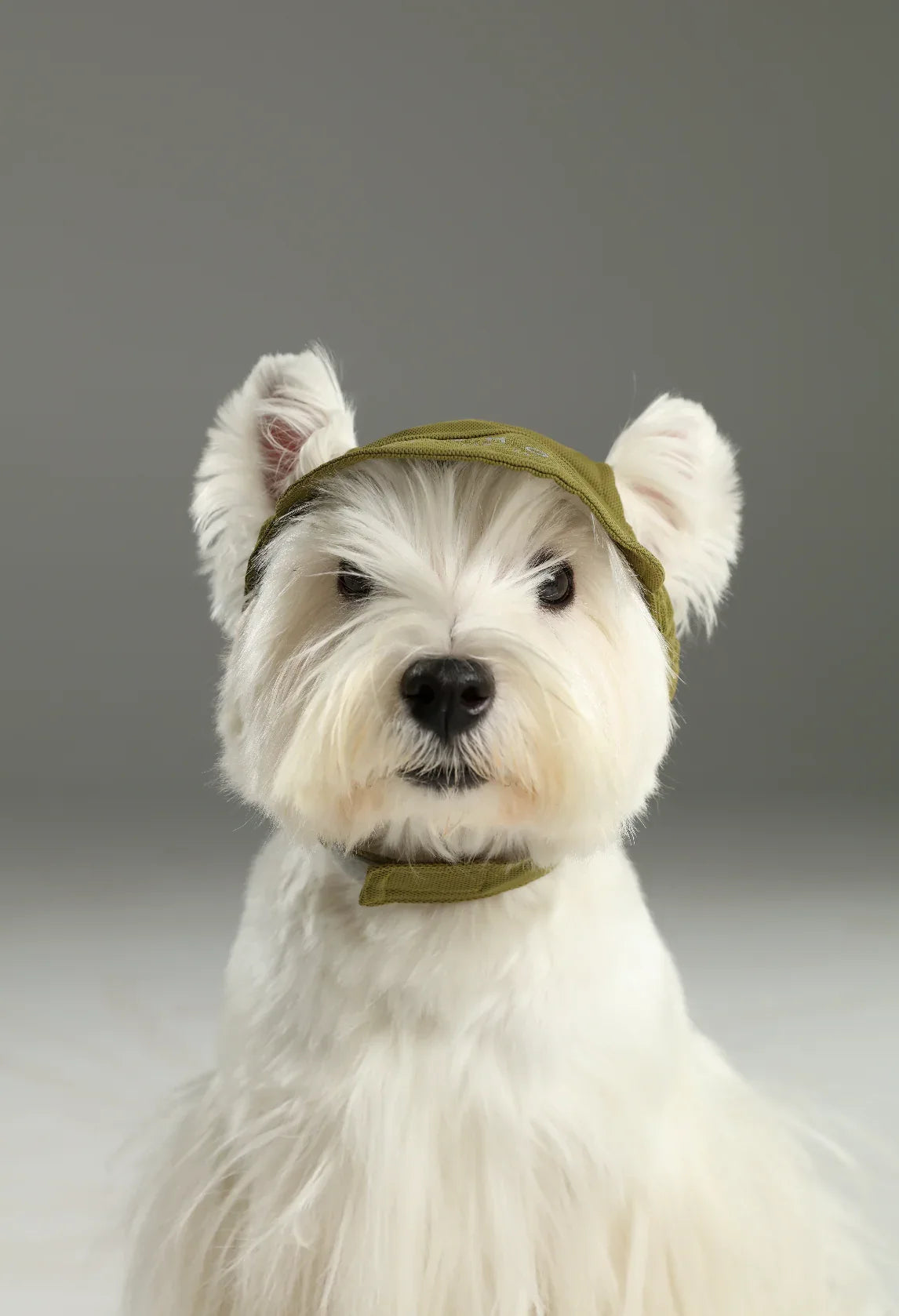 TENNIS HAT | Green 4 - MiniPaw Luxe