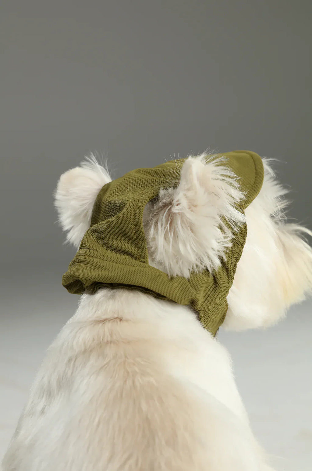TENNIS HAT | Green 5 - MiniPaw Luxe