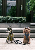 TENNIS HAT | Green 8 - MiniPaw Luxe