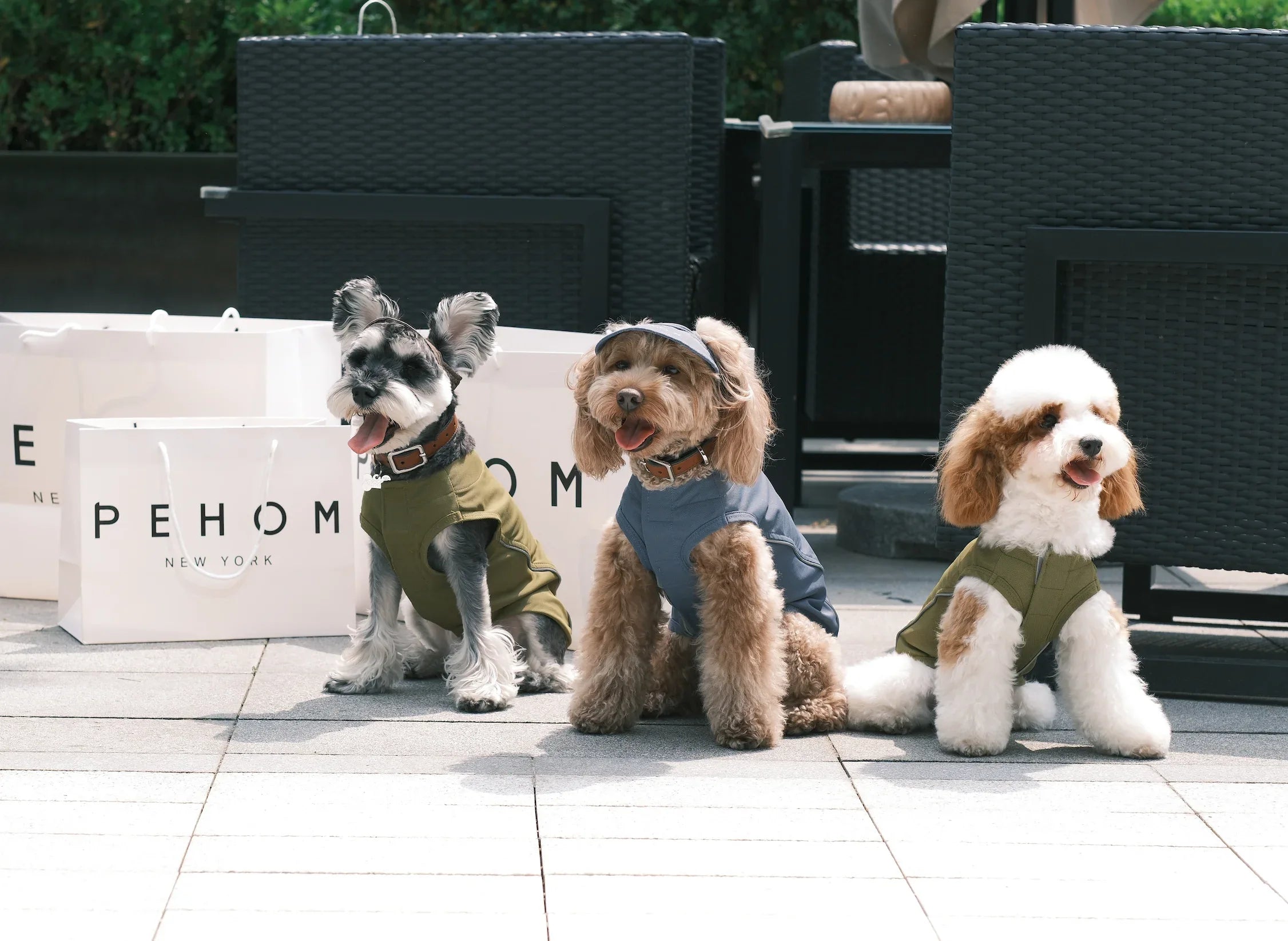 TENNIS HAT | Mocha 13 - MiniPaw Luxe