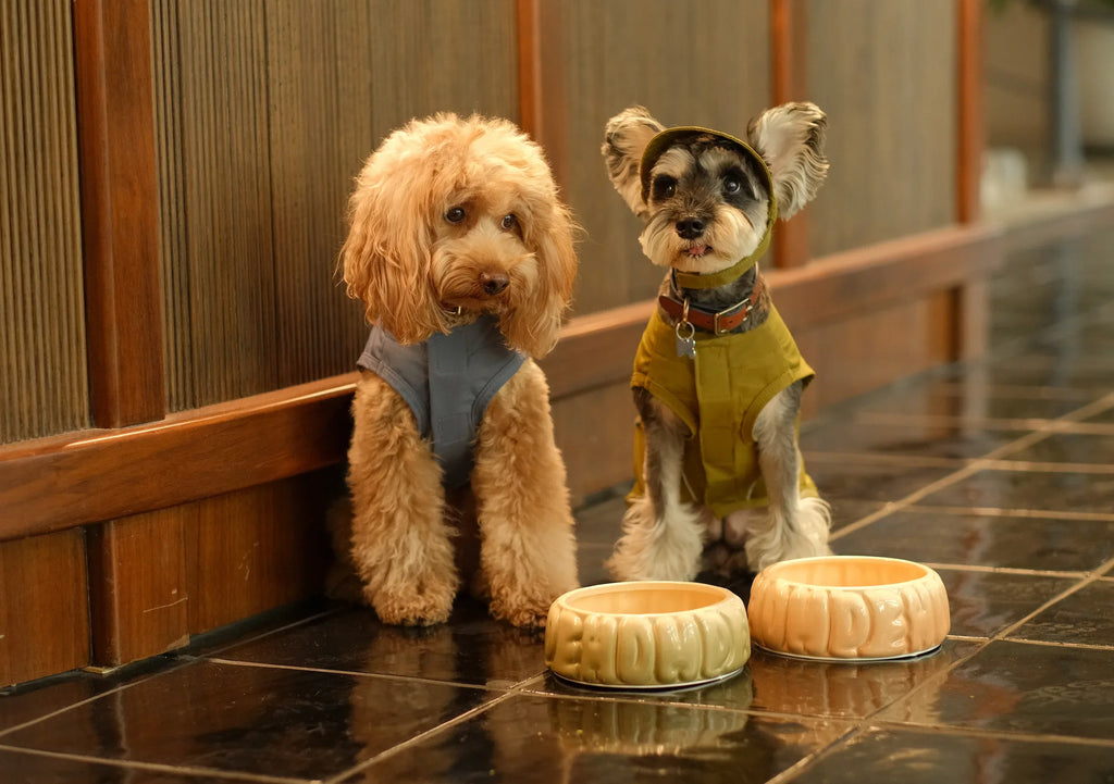 TENNIS HAT | Mocha 6 - MiniPaw Luxe