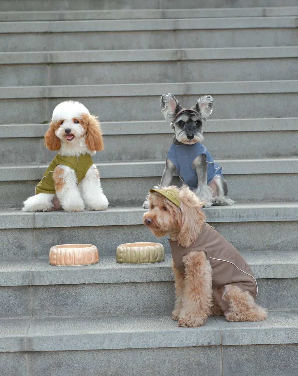 TENNIS HAT | Mocha 7 - MiniPaw Luxe