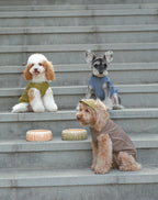 TENNIS HAT | Mocha 7 - MiniPaw Luxe