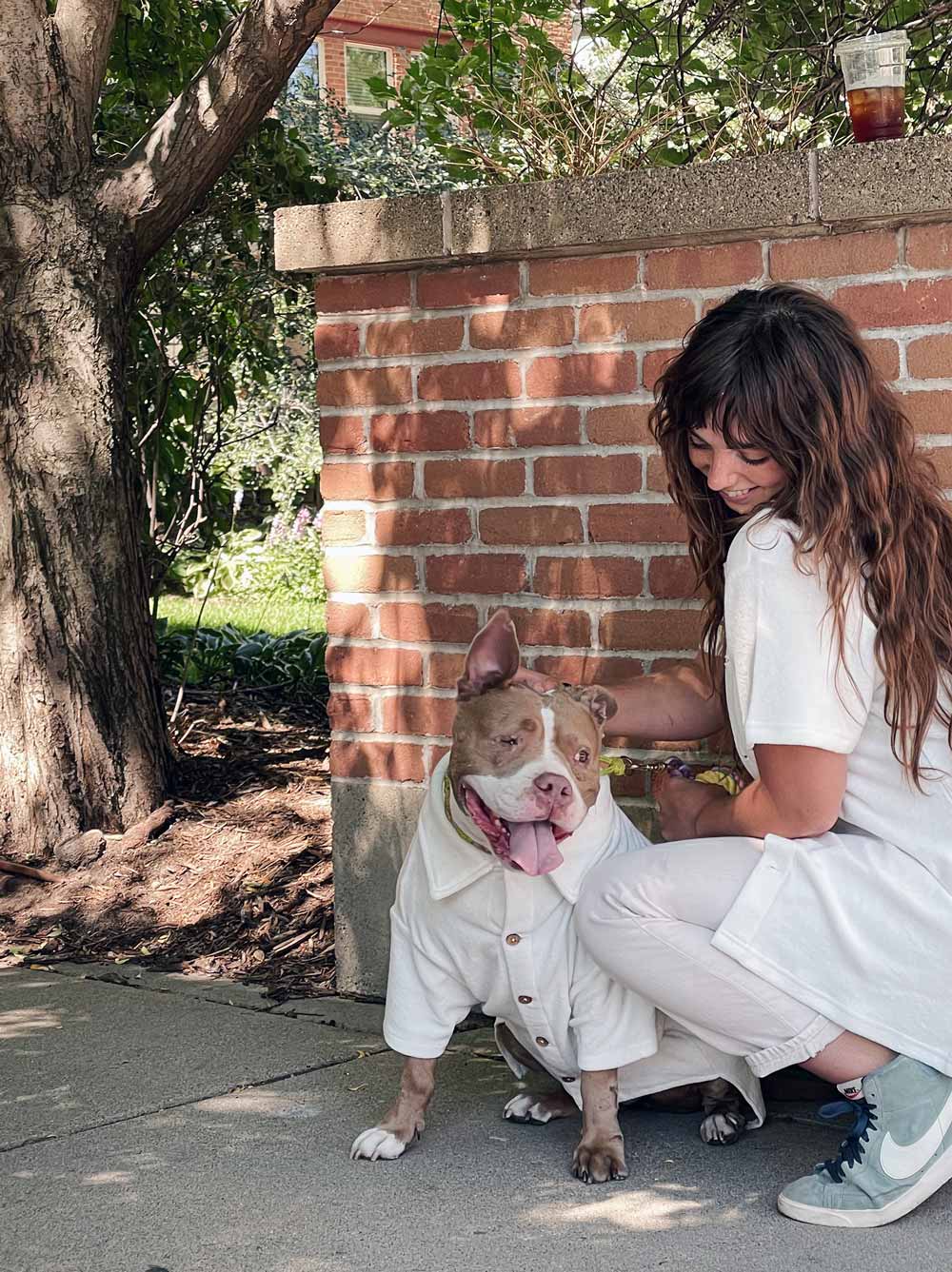 Terry Polo | Cloudy 1 - MiniPaw Luxe