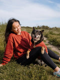 Terry Pullover | Maroon 1 - MiniPaw Luxe