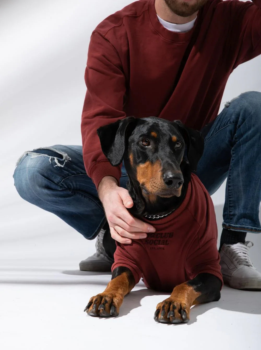 Terry Pullover | Maroon 5 - MiniPaw Luxe
