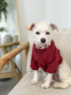 Terry Pullover | Maroon 6 - MiniPaw Luxe