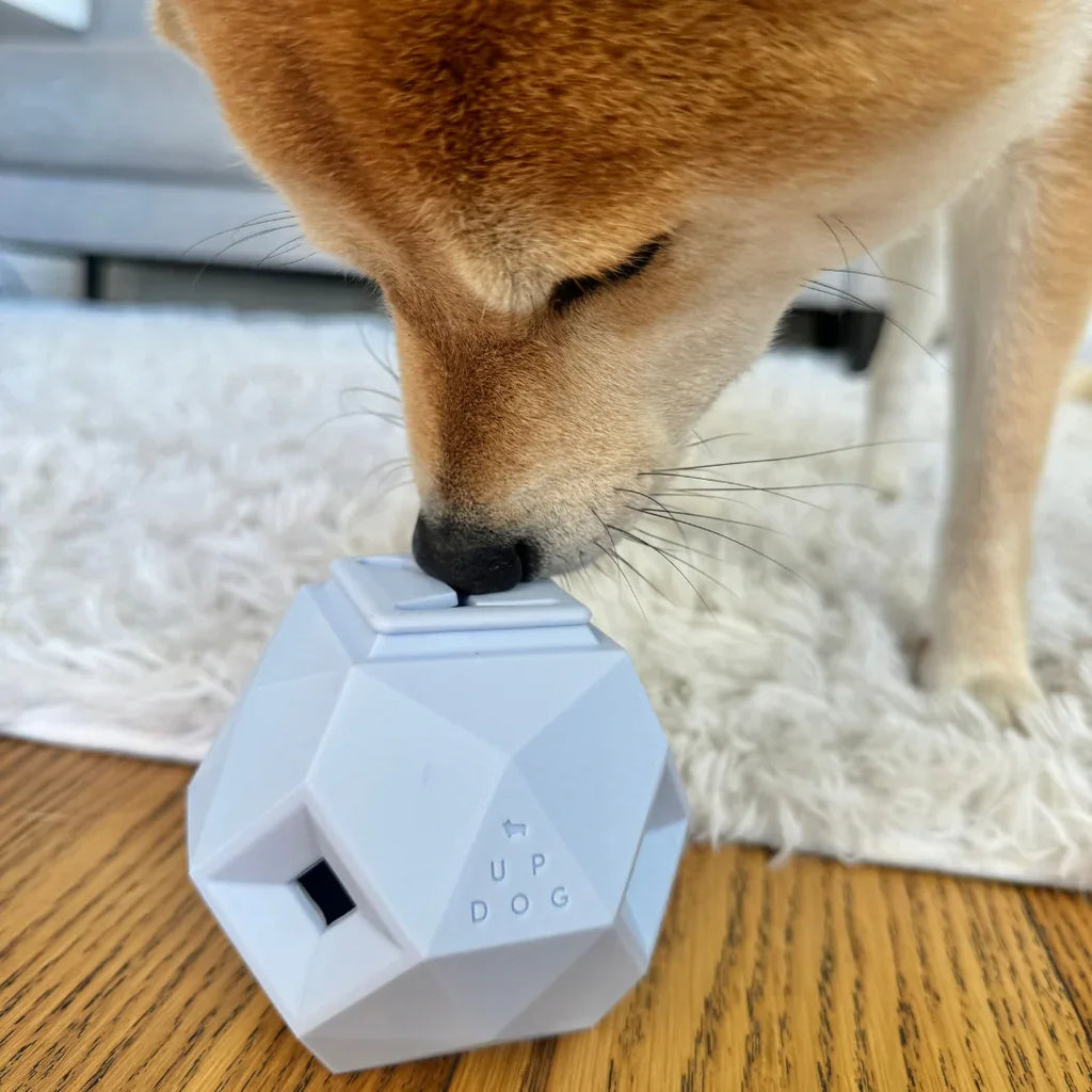 The Odin Treat Dispensing Toy For Dogs 10 - MiniPaw Luxe
