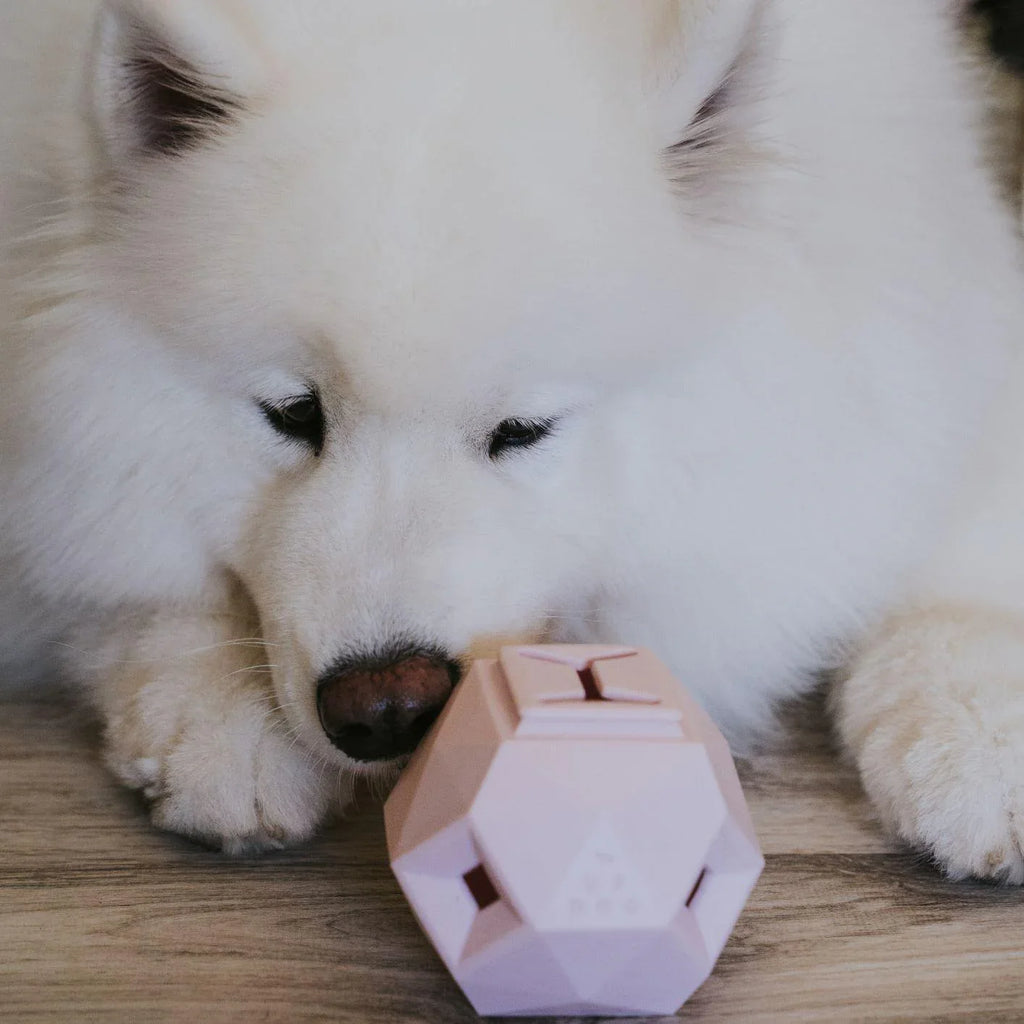The Odin Treat Dispensing Toy For Dogs 11 - MiniPaw Luxe