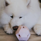 The Odin Treat Dispensing Toy For Dogs 11 - MiniPaw Luxe