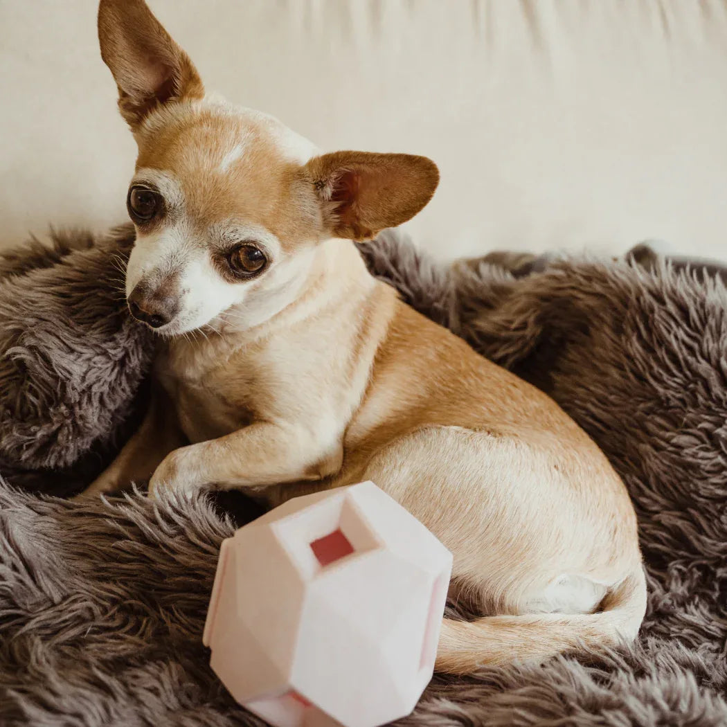 The Odin Treat Dispensing Toy For Dogs 12 - MiniPaw Luxe