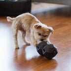 The Odin Treat Dispensing Toy For Dogs 5 - MiniPaw Luxe