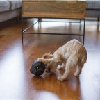 The Odin Treat Dispensing Toy For Dogs 7 - MiniPaw Luxe