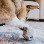 The Odin Treat Dispensing Toy For Dogs 9 - MiniPaw Luxe