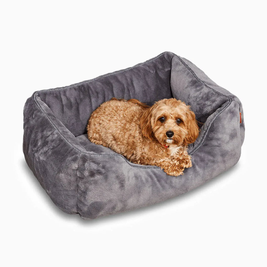 The Sammy Bolster Dog Bed | Dark Grey 1 - MiniPaw Luxe