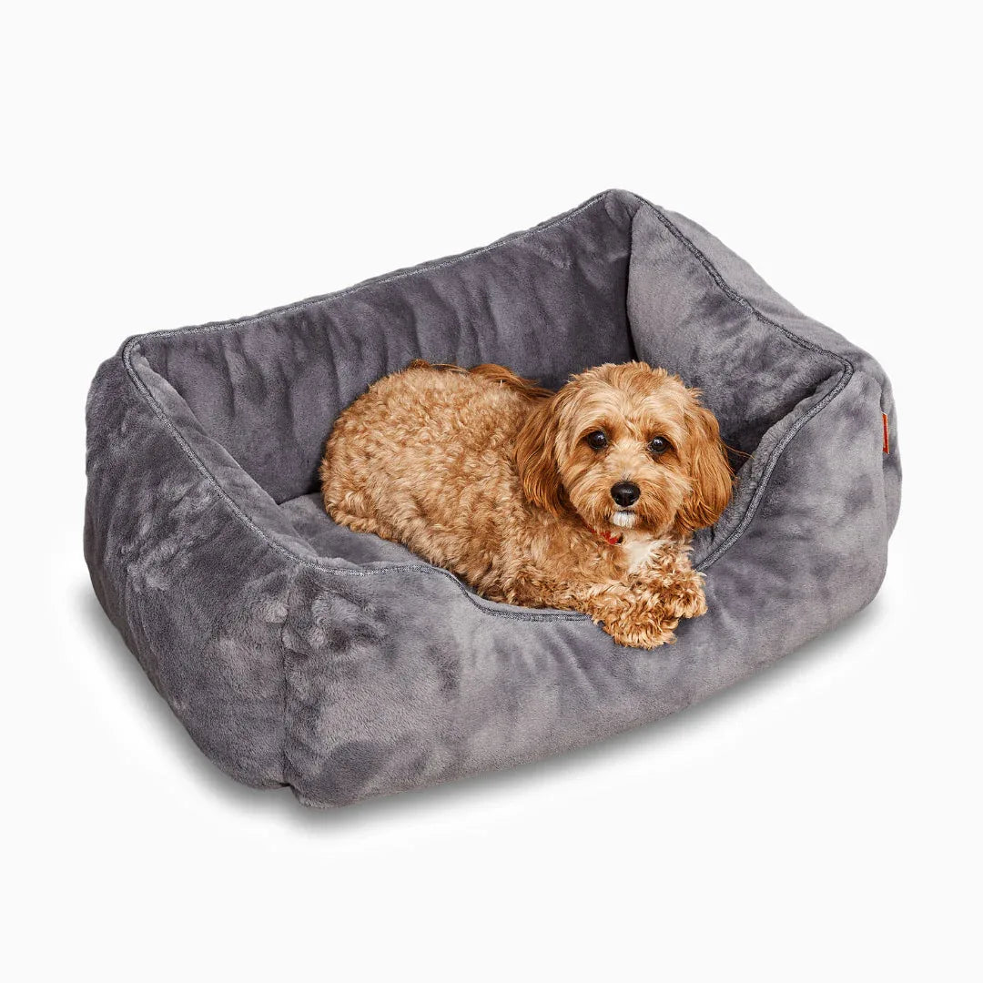 The Sammy Bolster Dog Bed | Dark Grey 1 - MiniPaw Luxe
