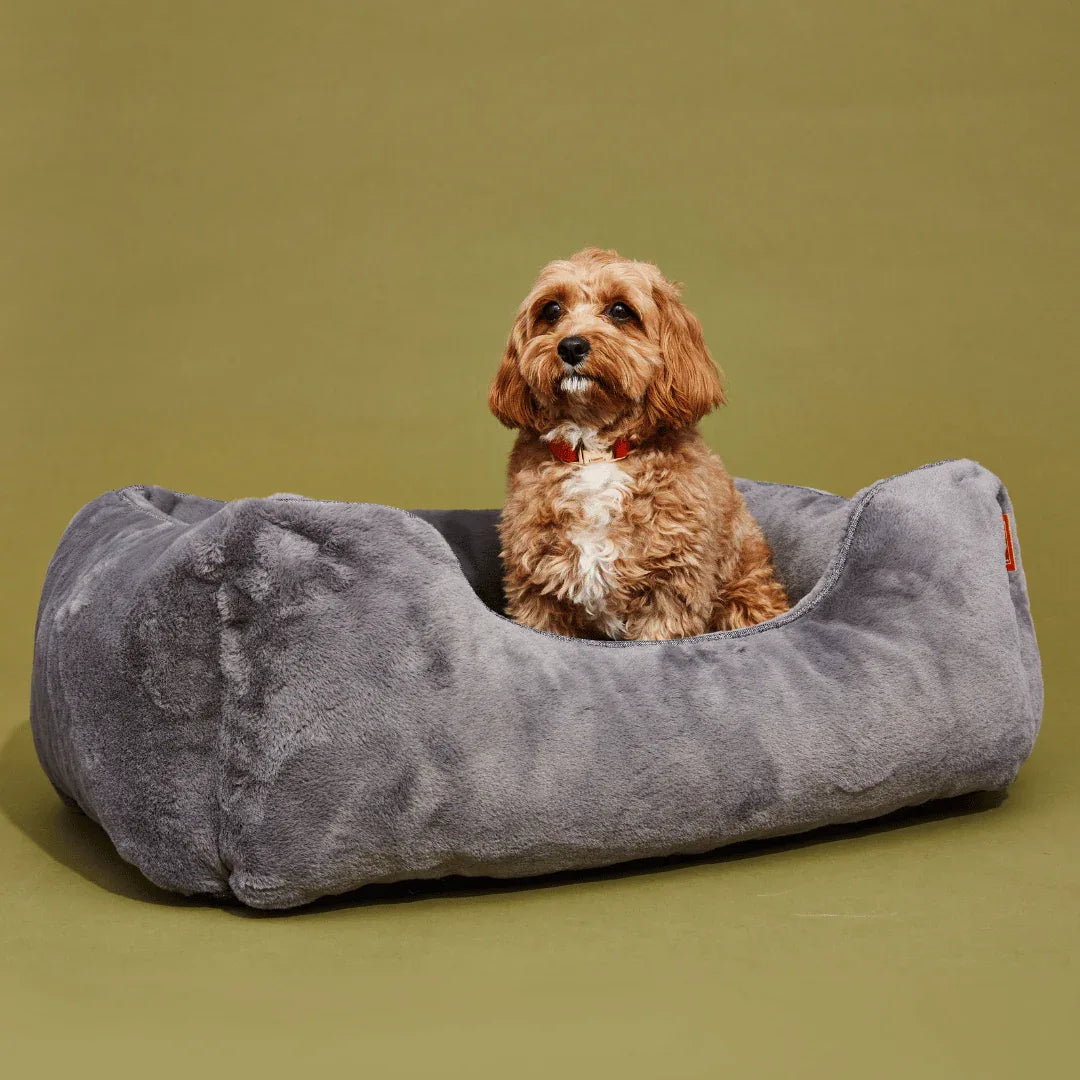 The Sammy Bolster Dog Bed | Dark Grey 2 - MiniPaw Luxe