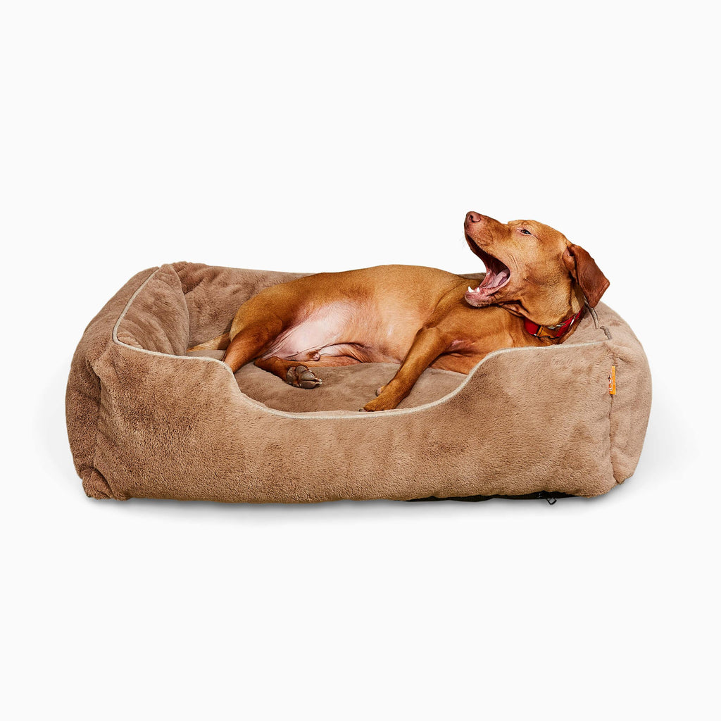 The Sammy Bolster Dog Bed | Light Brown 1 - MiniPaw Luxe
