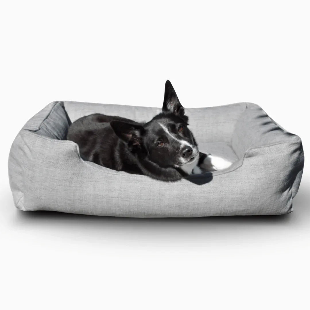 The Sammy Bolster Dog Bed | Pale Grey 1 - MiniPaw Luxe