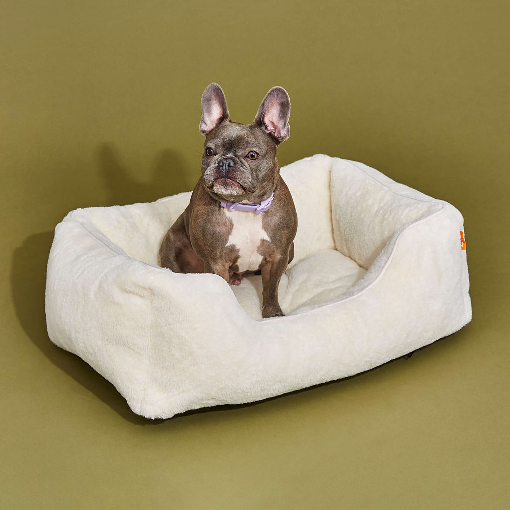 The Sammy Bolster Dog Bed | White 2 - MiniPaw Luxe