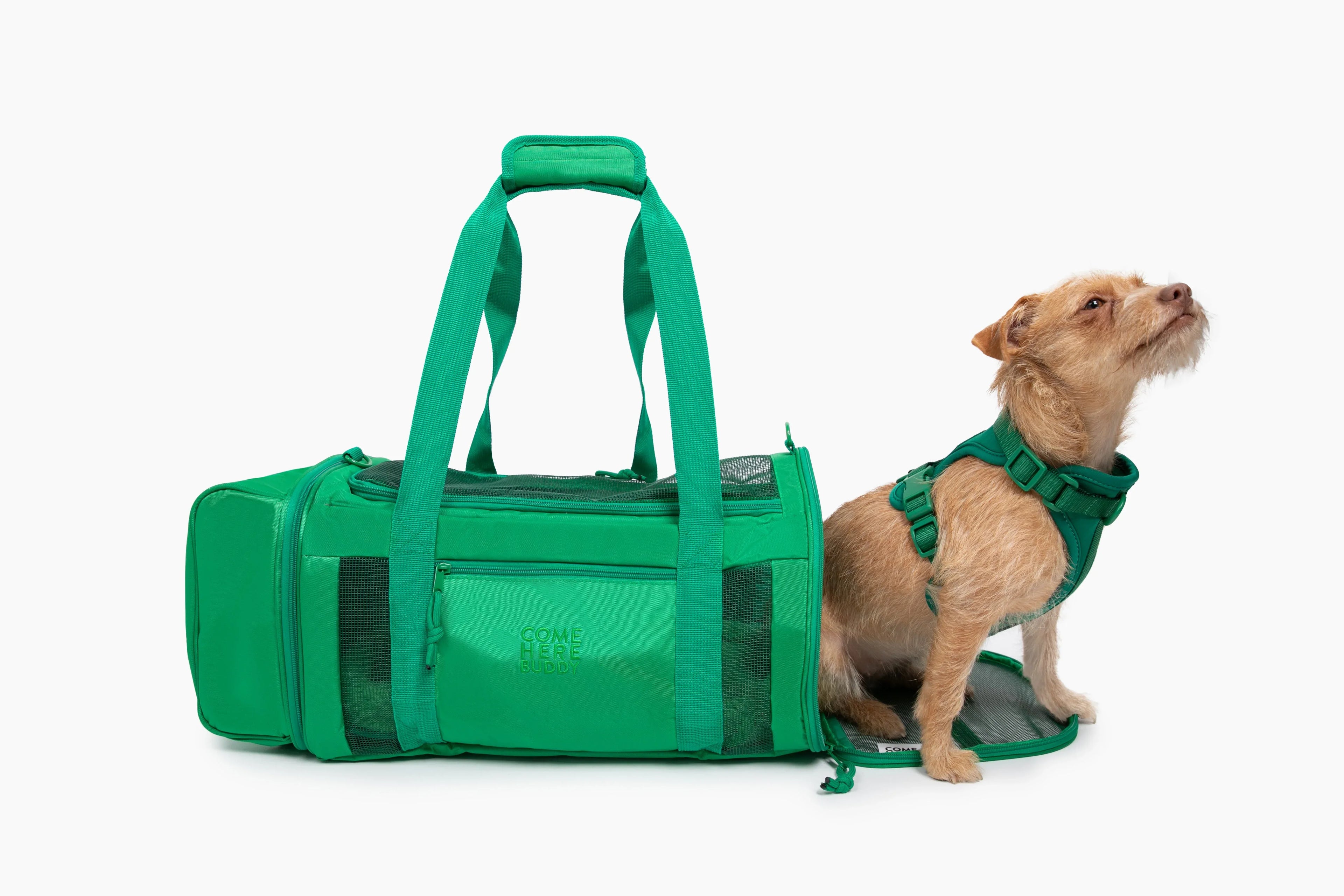 Travel Buddy - Dog Carrier 2 - MiniPaw Luxe