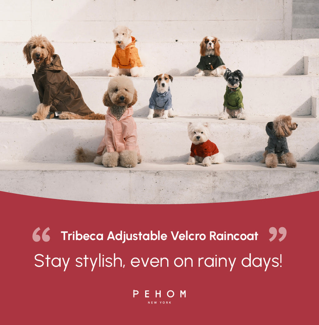 Tribeca Adjustable Velcro Raincoat | Burgundy 17 - MiniPaw Luxe