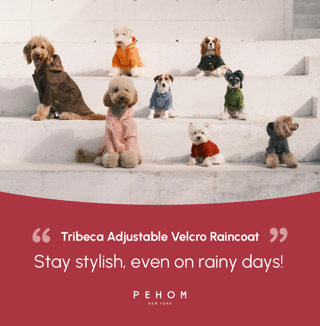 Tribeca Adjustable Velcro Raincoat | Burgundy 17 - MiniPaw Luxe