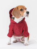 Tribeca Adjustable Velcro Raincoat | Burgundy 1 - MiniPaw Luxe