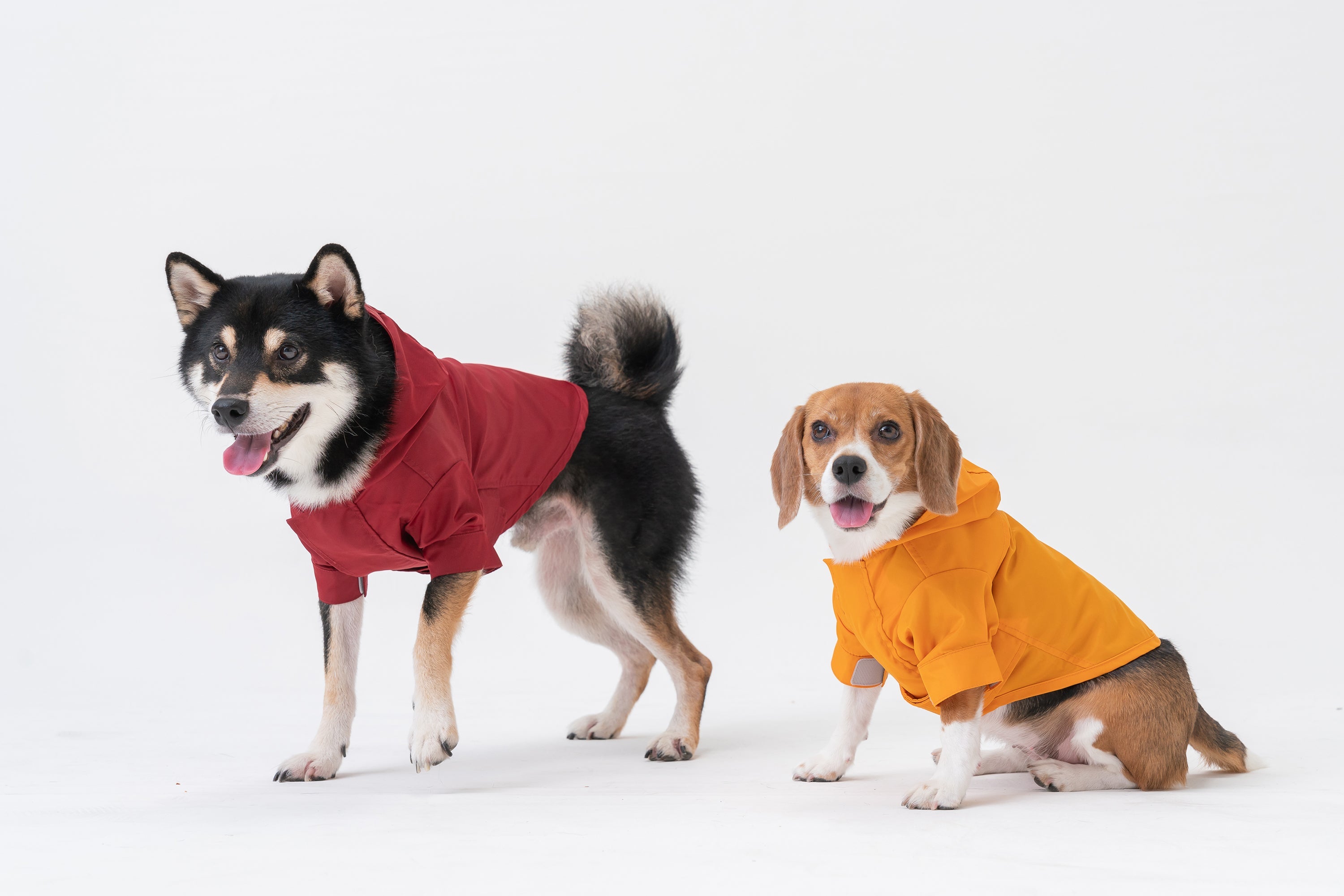 Tribeca Adjustable Velcro Raincoat | Burgundy 4 - MiniPaw Luxe