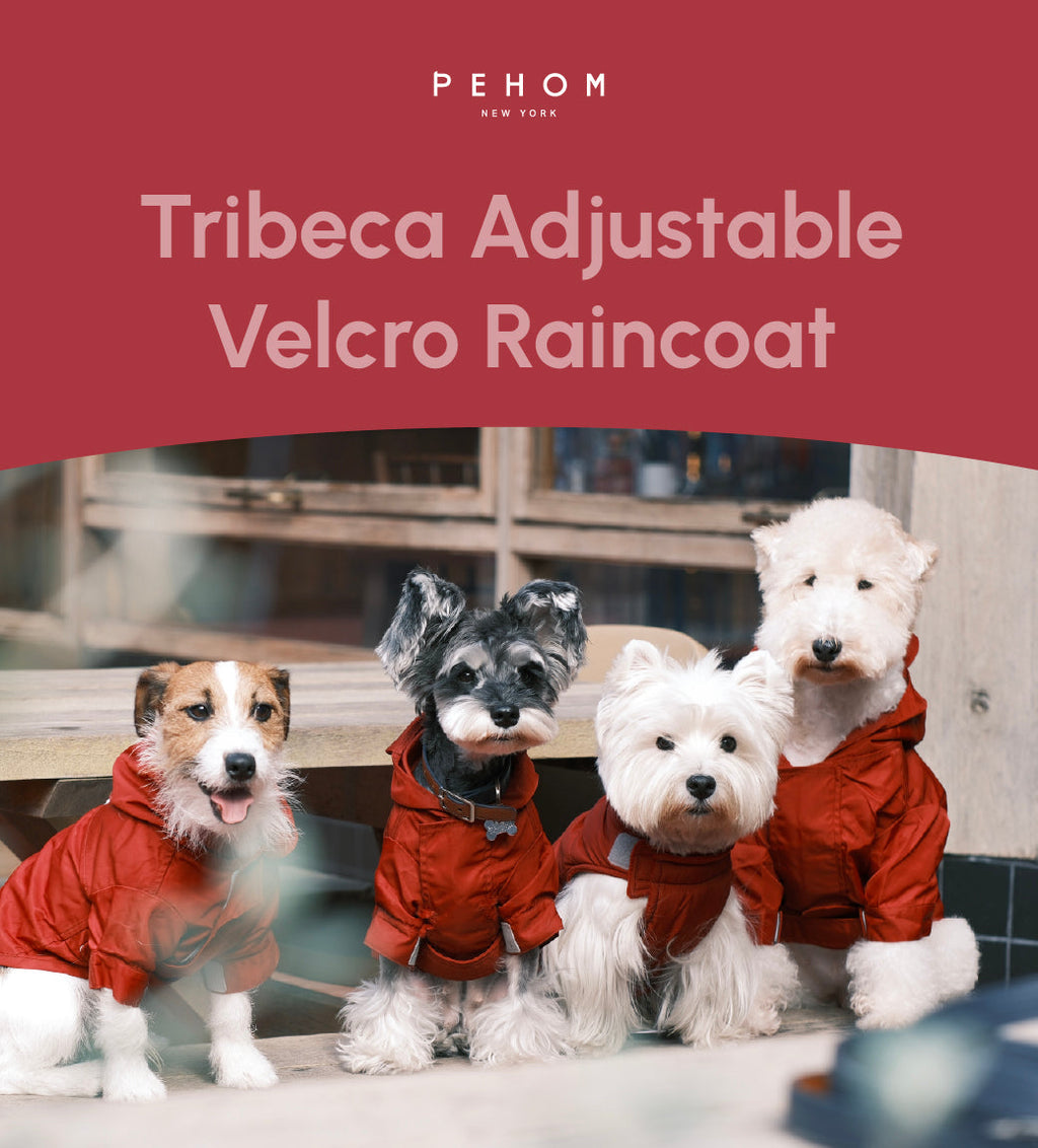 Tribeca Adjustable Velcro Raincoat | Burgundy 6 - MiniPaw Luxe