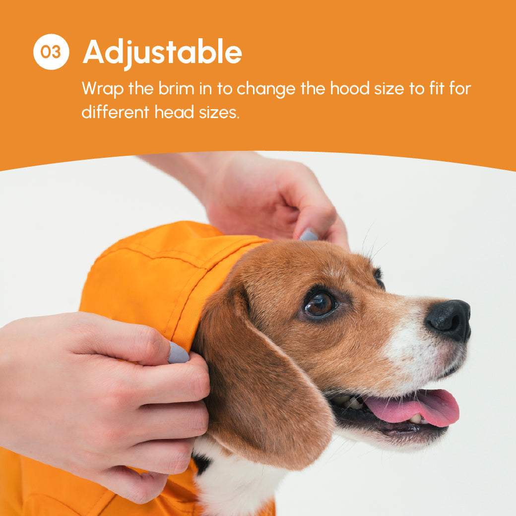 Tribeca Adjustable Velcro Raincoat | Egg Yolk 11 - MiniPaw Luxe