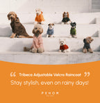 Tribeca Adjustable Velcro Raincoat | Egg Yolk 19 - MiniPaw Luxe