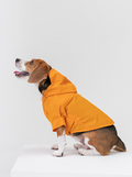 Tribeca Adjustable Velcro Raincoat | Egg Yolk 1 - MiniPaw Luxe