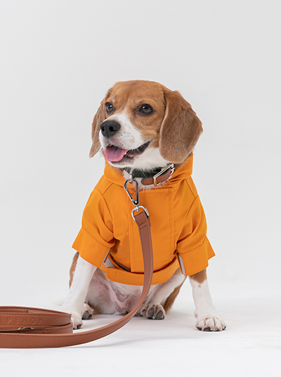 Tribeca Adjustable Velcro Raincoat | Egg Yolk 3 - MiniPaw Luxe