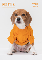 Tribeca Adjustable Velcro Raincoat | Egg Yolk 4 - MiniPaw Luxe