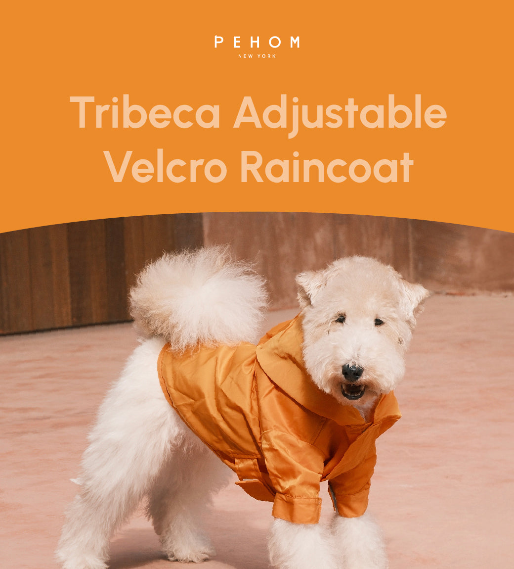 Tribeca Adjustable Velcro Raincoat | Egg Yolk 8 - MiniPaw Luxe