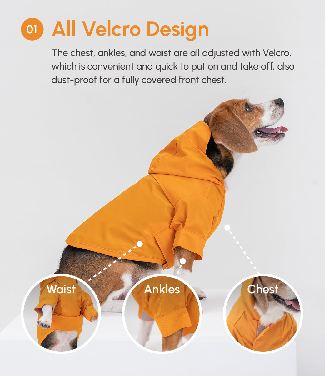 Tribeca Adjustable Velcro Raincoat | Egg Yolk 9 - MiniPaw Luxe