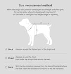 Tribeca Adjustable Velcro Raincoat | Light Blue 18 - MiniPaw Luxe