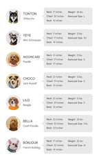 Tribeca Adjustable Velcro Raincoat | Light Blue 19 - MiniPaw Luxe