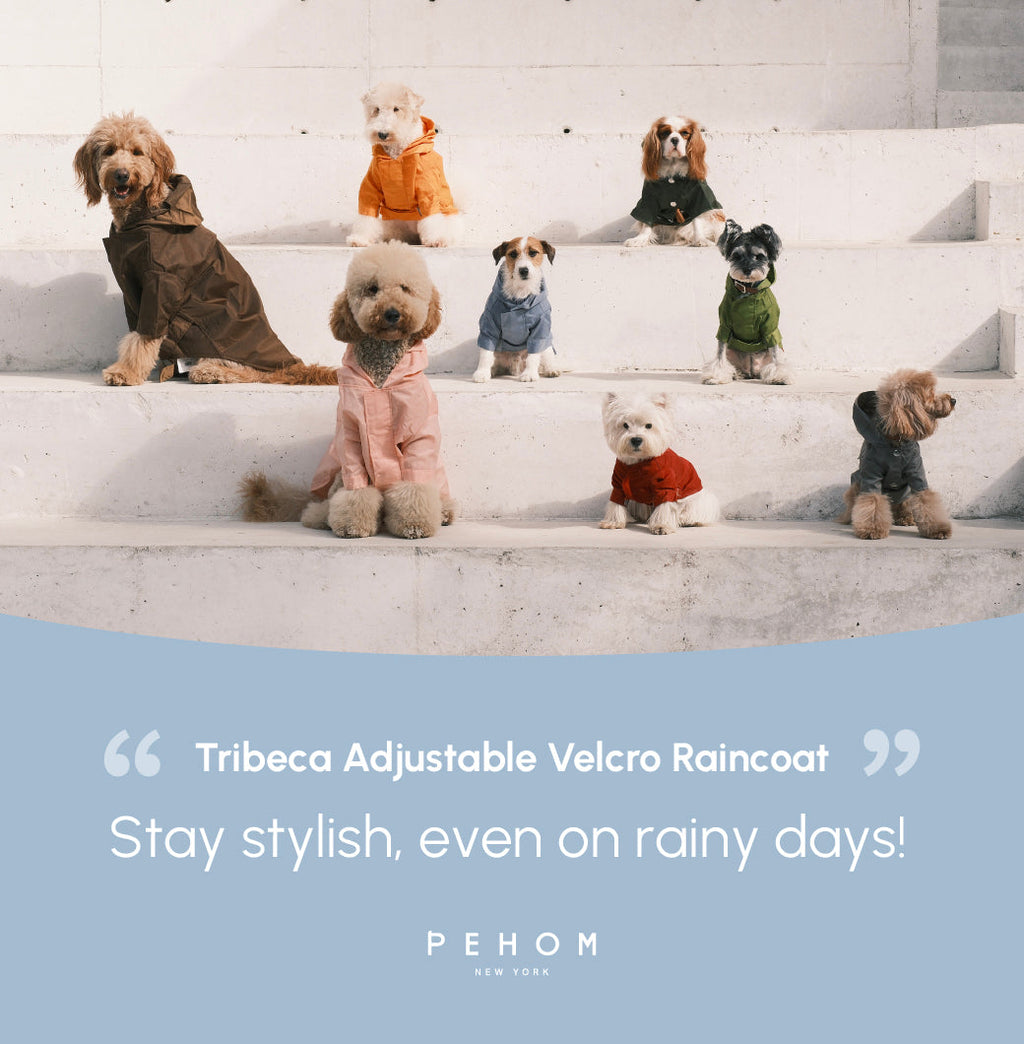 Tribeca Adjustable Velcro Raincoat | Light Blue 20 - MiniPaw Luxe