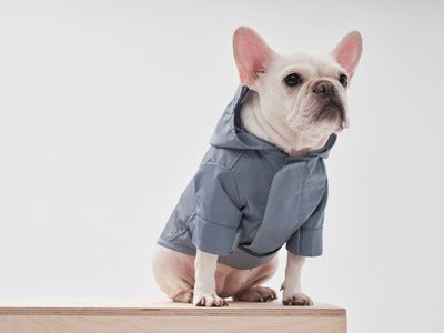 Tribeca Adjustable Velcro Raincoat | Light Blue 3 - MiniPaw Luxe