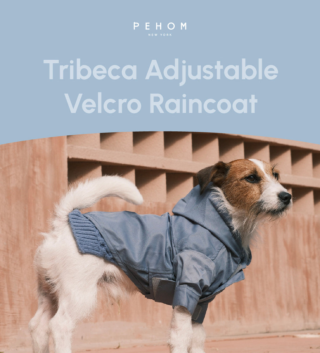 Tribeca Adjustable Velcro Raincoat | Light Blue 9 - MiniPaw Luxe