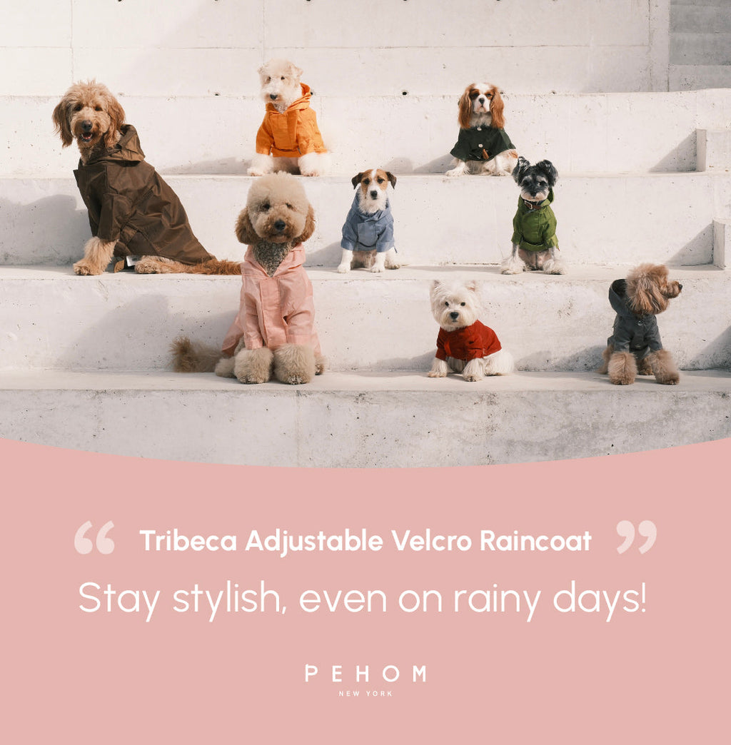 Tribeca Adjustable Velcro Raincoat | Light Pink 19 - MiniPaw Luxe