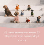 Tribeca Adjustable Velcro Raincoat | Light Pink 19 - MiniPaw Luxe