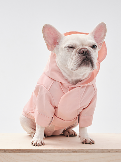 Tribeca Adjustable Velcro Raincoat | Light Pink 1 - MiniPaw Luxe