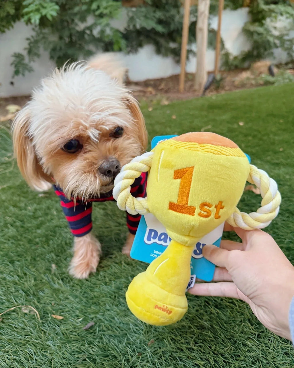 Trophy 7 - MiniPaw Luxe