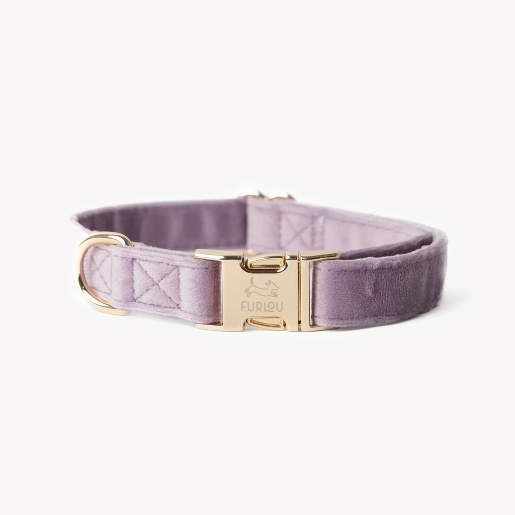 Velvet Dog Collar | Lilac 1 - MiniPaw Luxe